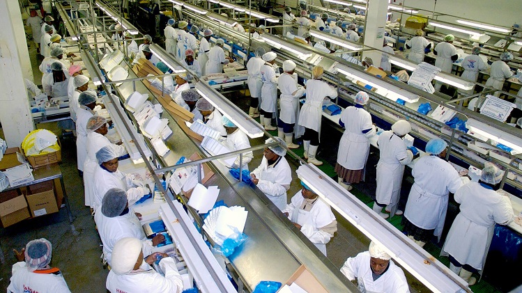 Namibia has one of the most productive fishing grounds in the world. Namibia ranked 36th in the world according to the most recent data from the World Bank with marine landings averaging about 475,000 tonnes.